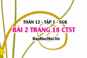 Bài 2 trang 18 Toán 12 tập 1 Chân trời sáng tạo